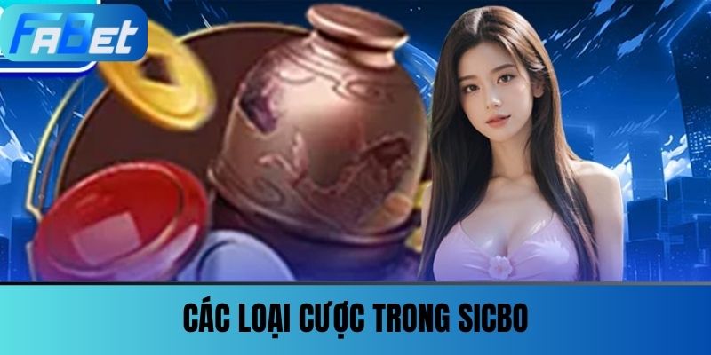 Sicbo Fabet - Cảm Giác Cuốn Hút Theo Từng Viên Xúc Xắc 4 Các Loại Cược Trong SicBo
