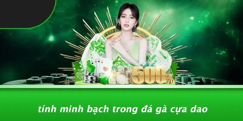 ĐÁ GÀ CỰA DAO: KHÁM PHÁ KỸ THUẬT VÀ CHIẾN THUẬT ĐỈNH CAO 4 Tính Minh Bạch Trong Đá Gà Cựa Dao
